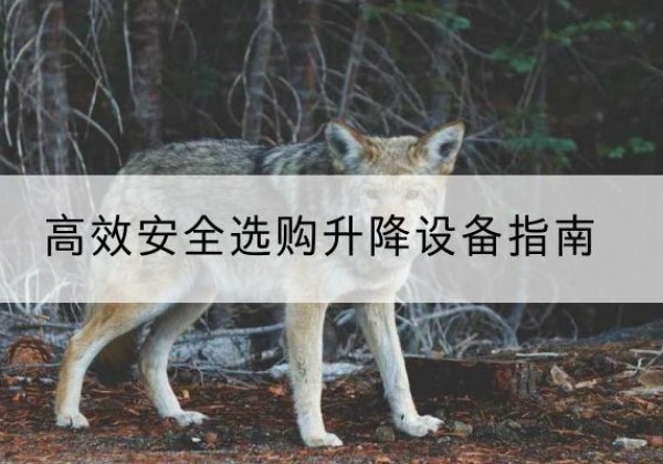 深圳升降货梯厂家推荐-*安全选购升降设备指南