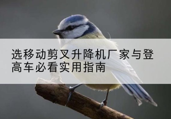 深圳电动升降机厂家-选移动剪叉升降机厂家与登高车必看实用指南