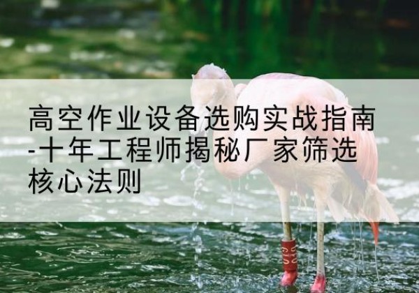 深圳剪叉式升降机厂家-高空作业设备选购实战指南-十年工程师揭秘厂家筛选核心法则